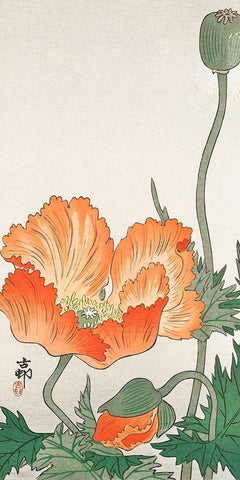 Orange Poppy Black Ornate Wood Framed Art Print with Double Matting by Koson, Ohara