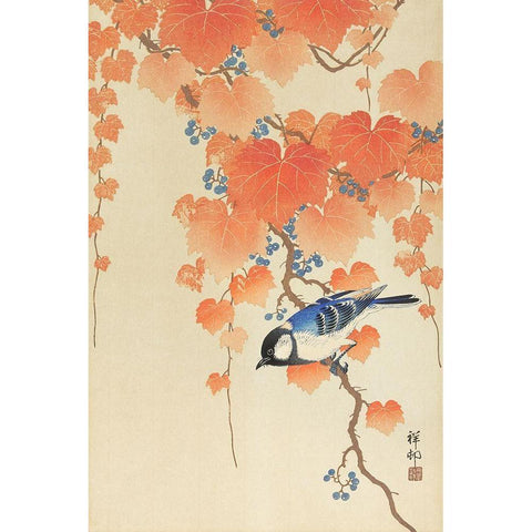 Great tit on paulownia branch Black Modern Wood Framed Art Print with Double Matting by Koson, Ohara