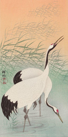 Two cranes Black Ornate Wood Framed Art Print with Double Matting by Koson, Ohara