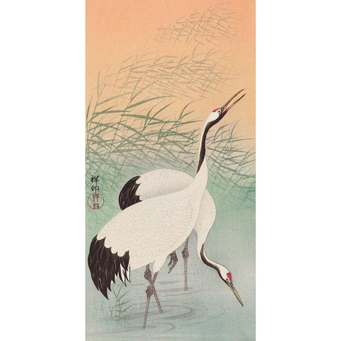 Two cranes White Modern Wood Framed Art Print by Koson, Ohara