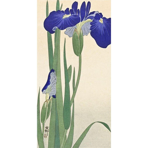 Blue Irises Gold Ornate Wood Framed Art Print with Double Matting by Koson, Ohara