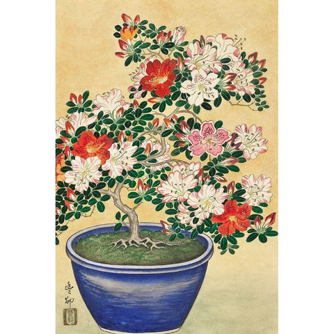 Blooming azalea in blue pot White Modern Wood Framed Art Print by Koson, Ohara