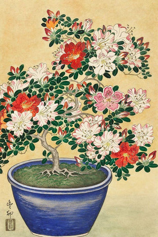 Blooming azalea in blue pot White Modern Wood Framed Art Print with Double Matting by Koson, Ohara