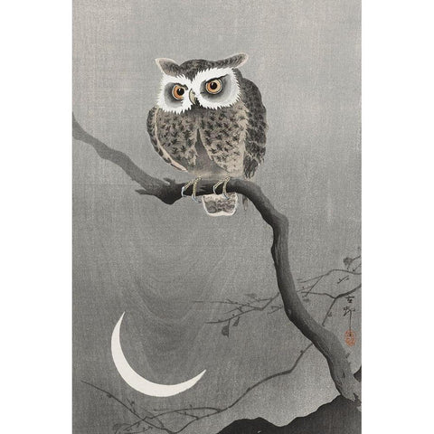 Long-eared owl on bare tree branch White Modern Wood Framed Art Print by Koson, Ohara