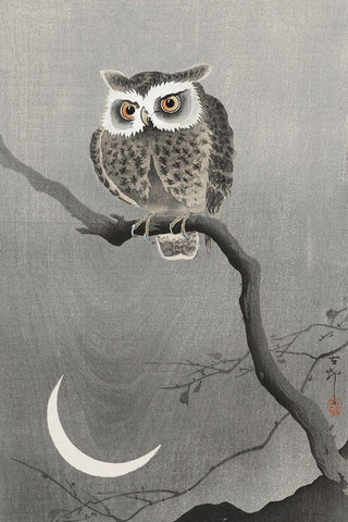 Long-eared owl on bare tree branch Black Ornate Wood Framed Art Print with Double Matting by Koson, Ohara