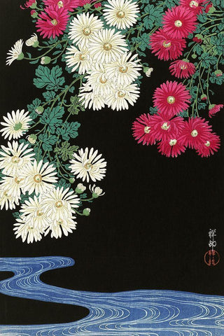 Chrysanthemums Black Ornate Wood Framed Art Print with Double Matting by Koson, Ohara