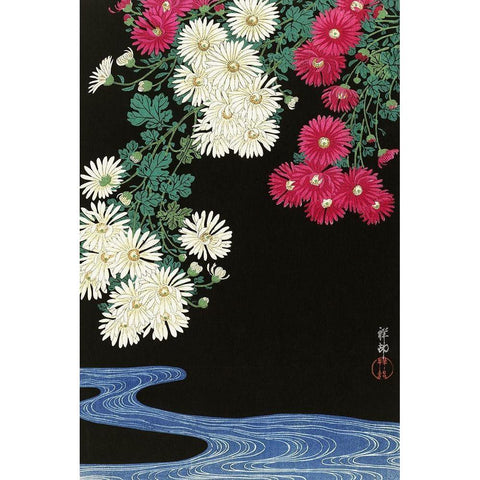 Chrysanthemums Black Modern Wood Framed Art Print with Double Matting by Koson, Ohara