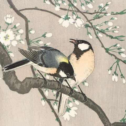 Tits on Cherry Branch Black Ornate Wood Framed Art Print with Double Matting by Koson, Ohara