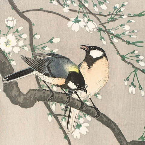 Tits on Cherry Branch Gold Ornate Wood Framed Art Print with Double Matting by Koson, Ohara