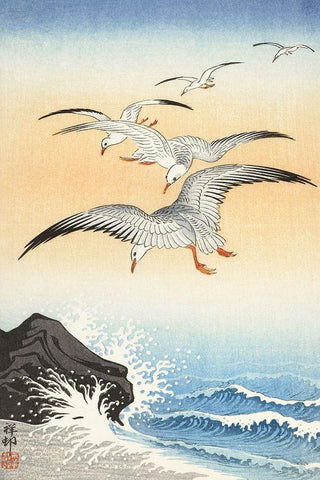 Five seagulls above turbulent sea White Modern Wood Framed Art Print with Double Matting by Koson, Ohara