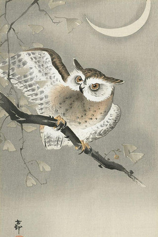 Long-eared owl in ginkgo Black Ornate Wood Framed Art Print with Double Matting by Koson, Ohara