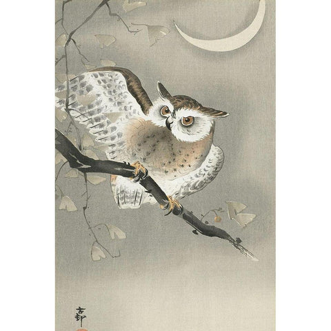 Long-eared owl in ginkgo White Modern Wood Framed Art Print by Koson, Ohara