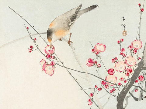 Songbird on blossom branch Black Ornate Wood Framed Art Print with Double Matting by Koson, Ohara