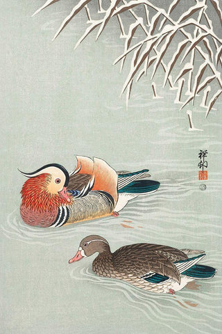 Mandarin ducks Black Ornate Wood Framed Art Print with Double Matting by Koson, Ohara