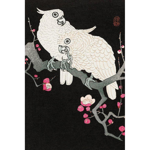 Two cockatoo and plum blossom White Modern Wood Framed Art Print by Koson, Ohara