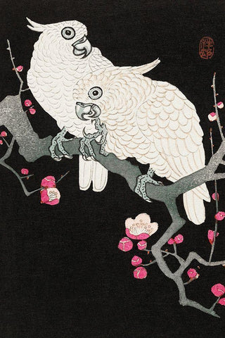 Two cockatoo and plum blossom Black Ornate Wood Framed Art Print with Double Matting by Koson, Ohara