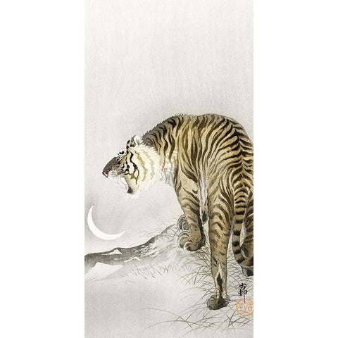 Roaring tiger Black Modern Wood Framed Art Print with Double Matting by Koson, Ohara