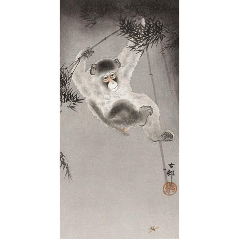 Monkey, hanging from bamboo branch White Modern Wood Framed Art Print by Koson, Ohara