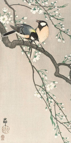 Tits on Cherry BranchÂ  White Modern Wood Framed Art Print with Double Matting by Koson, Ohara