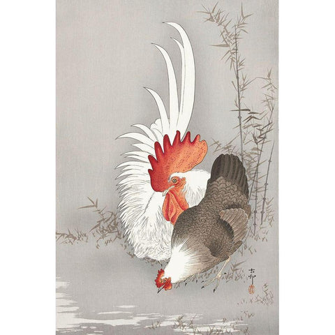 Rooster and chicken White Modern Wood Framed Art Print by Koson, Ohara