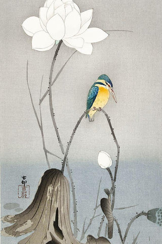 Kingfisher with Lotus Flower White Modern Wood Framed Art Print with Double Matting by Koson, Ohara