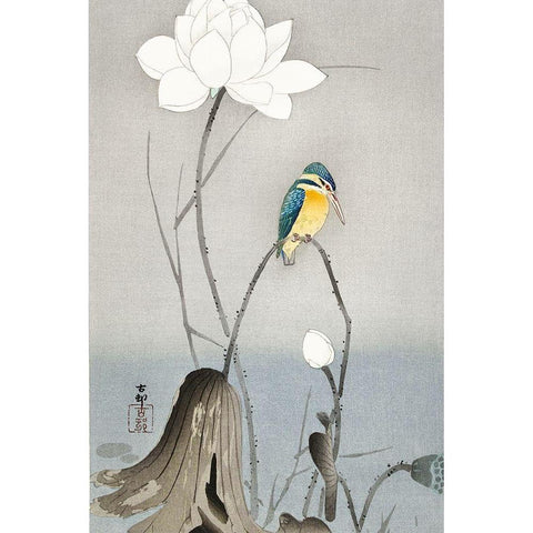 Kingfisher with Lotus Flower Black Modern Wood Framed Art Print by Koson, Ohara