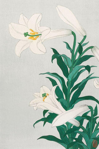 Lilies, Ohara White Modern Wood Framed Art Print with Double Matting by Koson, Ohara