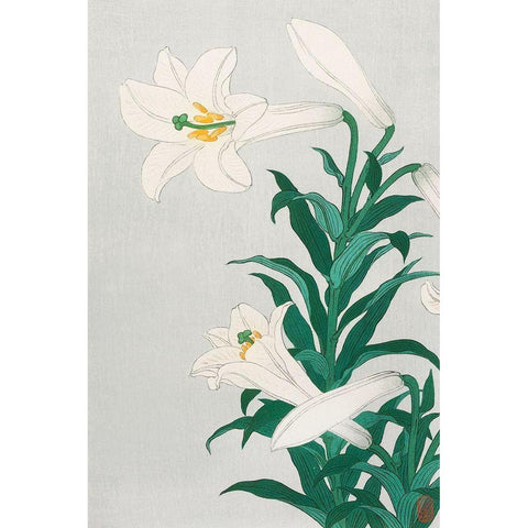 Lilies, Ohara Black Modern Wood Framed Art Print by Koson, Ohara