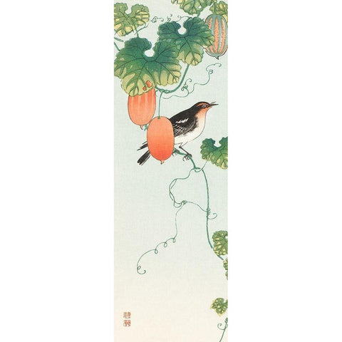 Songbird in cucumber plant Black Modern Wood Framed Art Print with Double Matting by Koson, Ohara