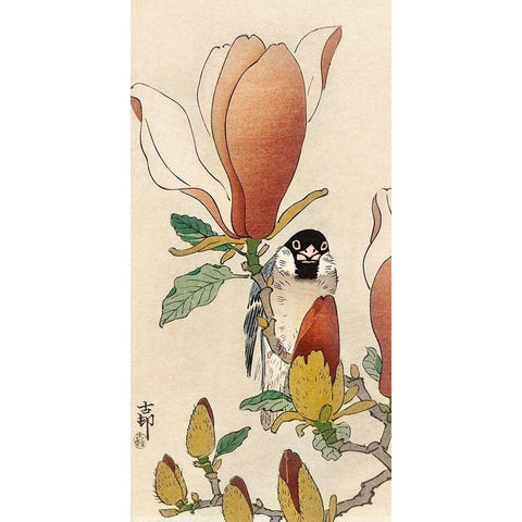 Sparrow on blooming magnolia branch Black Modern Wood Framed Art Print by Koson, Ohara