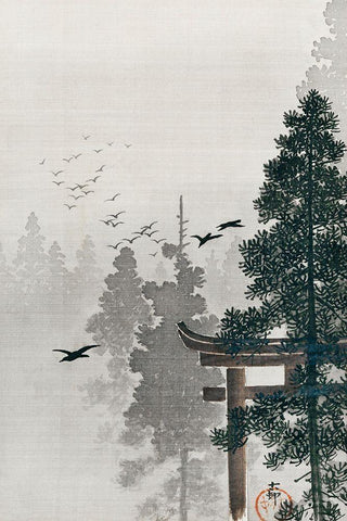 Flock of birds and a torii gate in a pine tree forest Black Ornate Wood Framed Art Print with Double Matting by Koson, Ohara