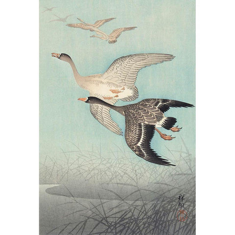 Great geese in flight Black Modern Wood Framed Art Print with Double Matting by Koson, Ohara