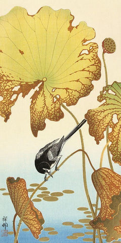 Japanese wagtail on lotus plant Black Ornate Wood Framed Art Print with Double Matting by Koson, Ohara