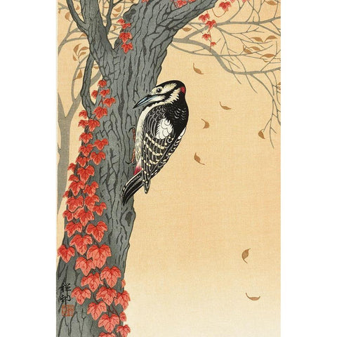 Great spotted woodpecker in tree with red ivy Black Modern Wood Framed Art Print with Double Matting by Koson, Ohara