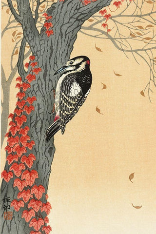 Great spotted woodpecker in tree with red ivy Black Ornate Wood Framed Art Print with Double Matting by Koson, Ohara