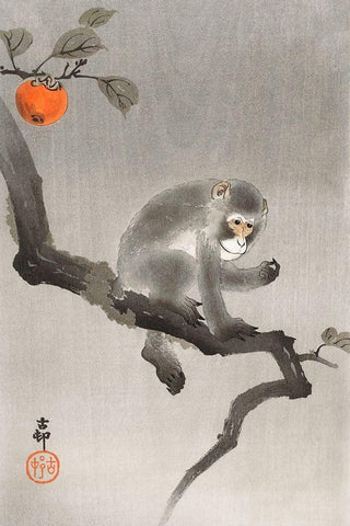 Monkey in cockatoo Black Ornate Wood Framed Art Print with Double Matting by Koson, Ohara