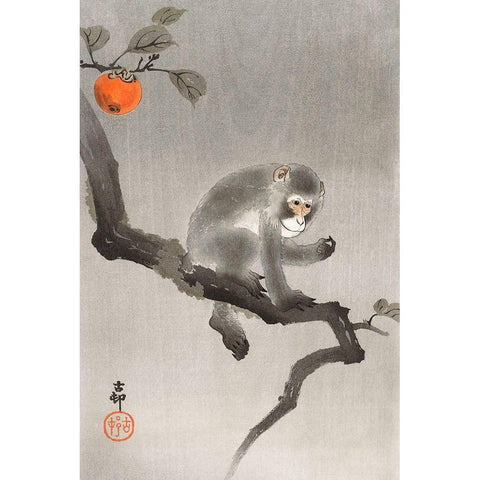 Monkey in cockatoo Gold Ornate Wood Framed Art Print with Double Matting by Koson, Ohara