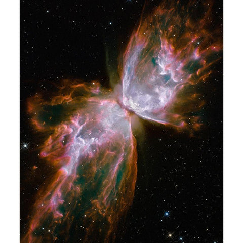 Hubble Spies a Butterfly White Modern Wood Framed Art Print by NASA