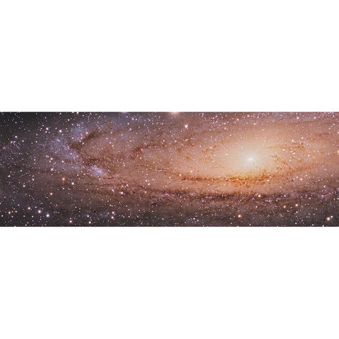 Messier 31 in Andromeda Gold Ornate Wood Framed Art Print with Double Matting by NASA