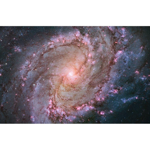 Spiral Galaxy M83, Hubble Space Telescope Black Modern Wood Framed Art Print with Double Matting by NASA