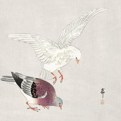 Two pigeons White Modern Wood Framed Art Print by Koson, Ohara