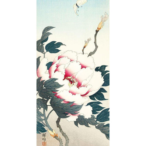 Peony with butterfly Black Modern Wood Framed Art Print with Double Matting by Koson, Ohara