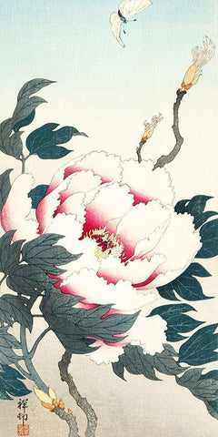 Peony with butterfly White Modern Wood Framed Art Print with Double Matting by Koson, Ohara