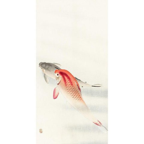 Two carp White Modern Wood Framed Art Print by Koson, Ohara