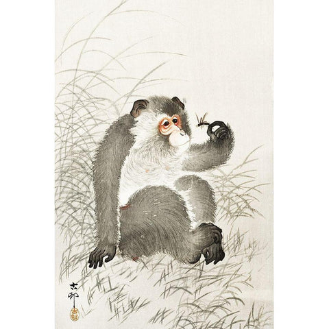 Monkey with insect Gold Ornate Wood Framed Art Print with Double Matting by Koson, Ohara