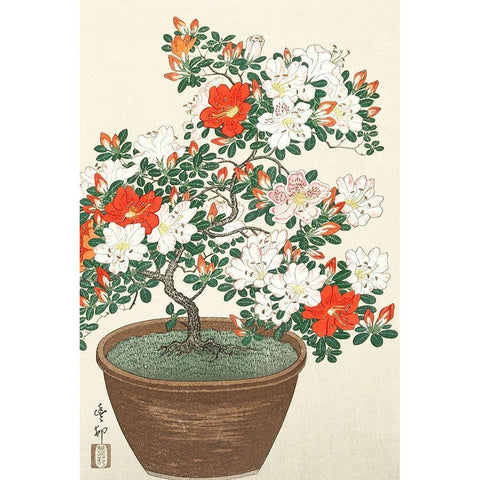 Blooming azalea in brown pot Black Modern Wood Framed Art Print with Double Matting by Koson, Ohara