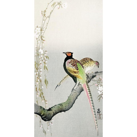 Couple pheasants and cherry blossom Gold Ornate Wood Framed Art Print with Double Matting by Koson, Ohara