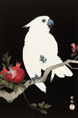 Cockatoo and pomegranate White Modern Wood Framed Art Print with Double Matting by Koson, Ohara