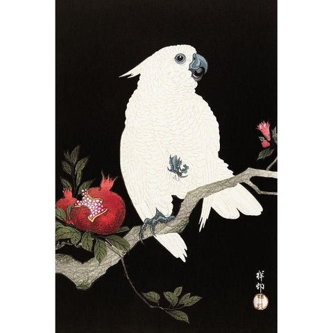 Cockatoo and pomegranate Gold Ornate Wood Framed Art Print with Double Matting by Koson, Ohara