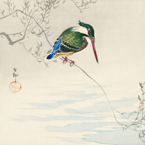 A kingfisher White Modern Wood Framed Art Print by Koson, Ohara